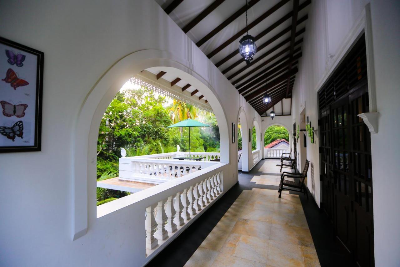 Sri Lankan Villa Elagawagoda Exteriör bild