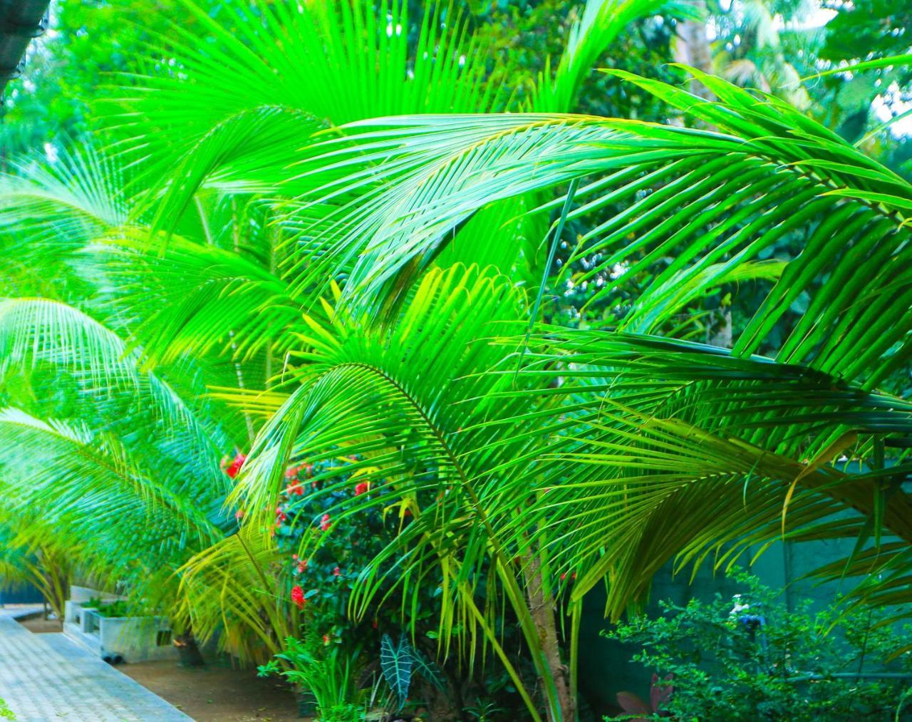 Sri Lankan Villa Elagawagoda Exteriör bild
